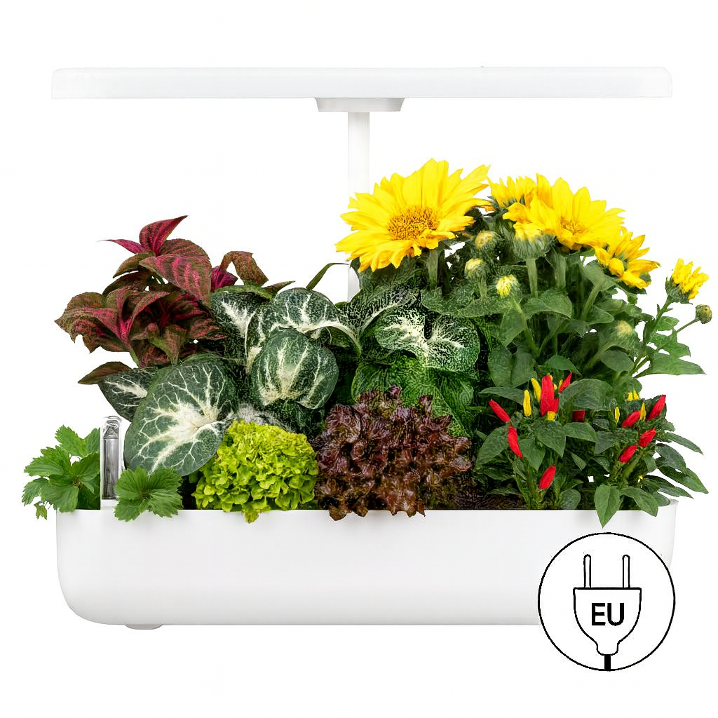 Indoor Oasis: Smart Hydroponic Garden with LED Grow Light – Effortless Home Planting & Fresh Herbs Year-Round