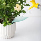Leaf‑Shaped Watering Funnel for Potted Plants – Tidy, Spill‑Free Pouring