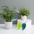 Leaf‑Shaped Watering Funnel for Potted Plants – Tidy, Spill‑Free Pouring