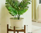 Wood Plant Stand (Floor) — A Warm, Gift-Ready Home for Every Plant